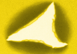 triangle_dewetting yellow 250x177gif.gif